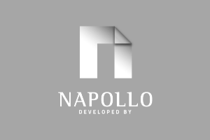 logo Napollo szare